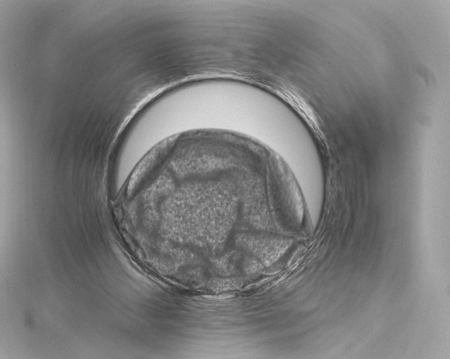 X0000115370108200912011141