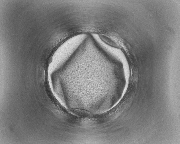 X0000115370109200912011141