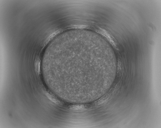 X0000115370110200912011141