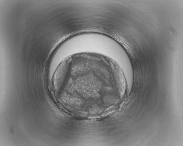 X0000115370112200912011141