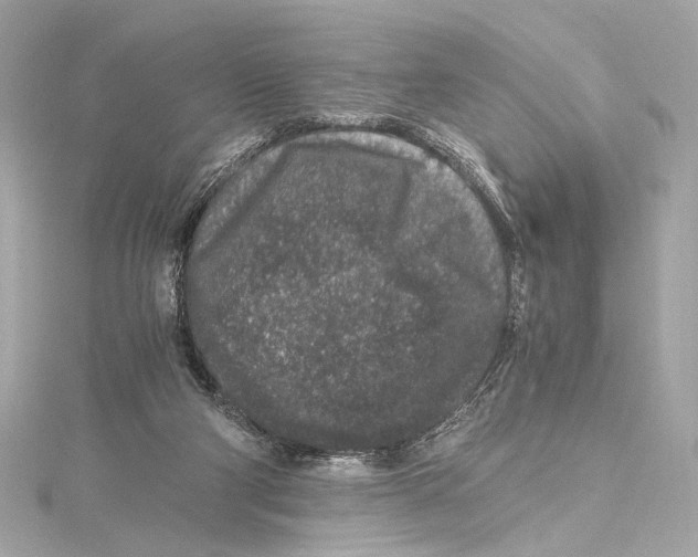 X0000115370114200912011141