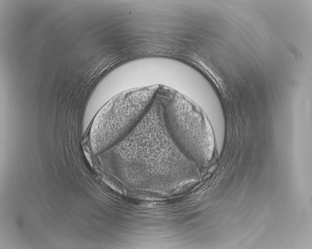 X0000115370117200912011141