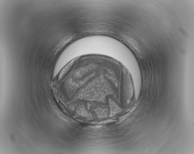 X0000115370120200912011141