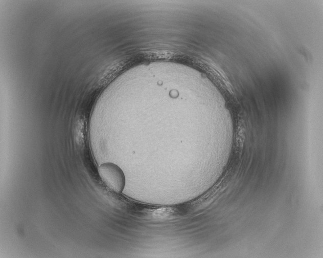 X0000115370122200912011141