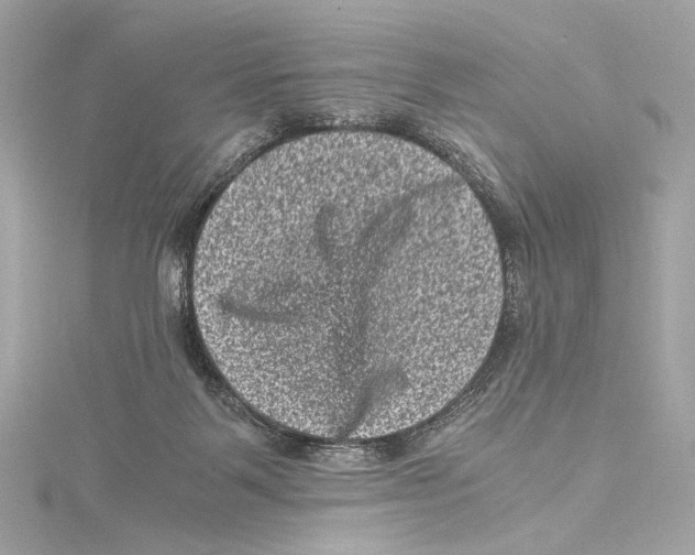 X0000115370123200912011141