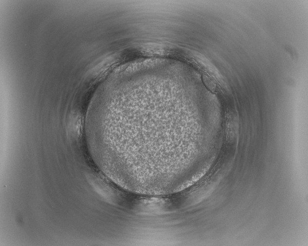 X0000115370125200912011141