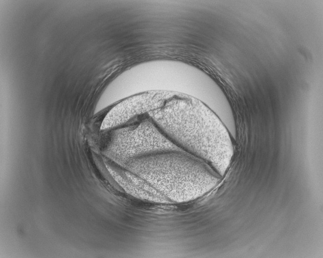 X0000115370128200912011141