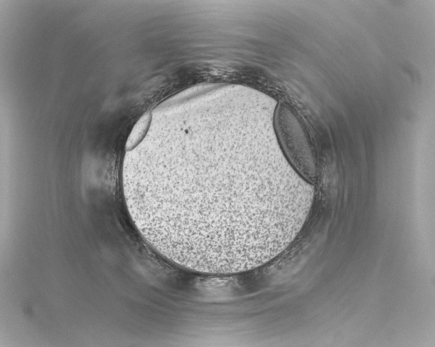 X0000115370129200912011141