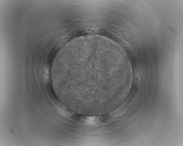 X0000115370130200912011141