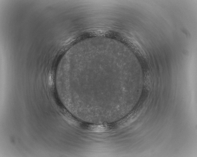 X0000115370131200912011141