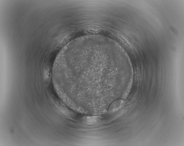 X0000115370134200912011141