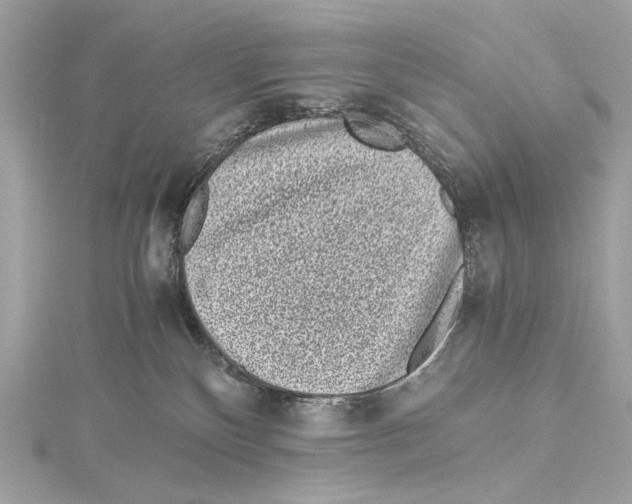 X0000115370136200912011141