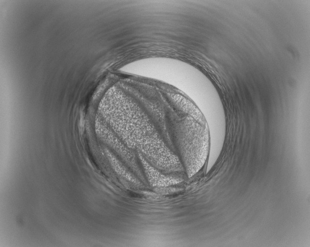 X0000115370137200912011141