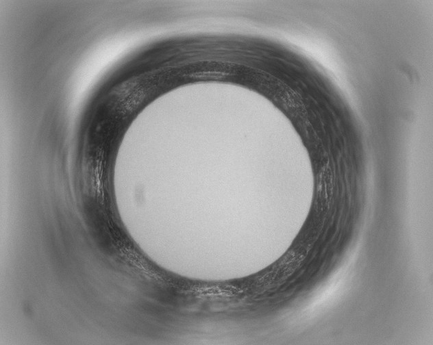 X0000115370146200912011140