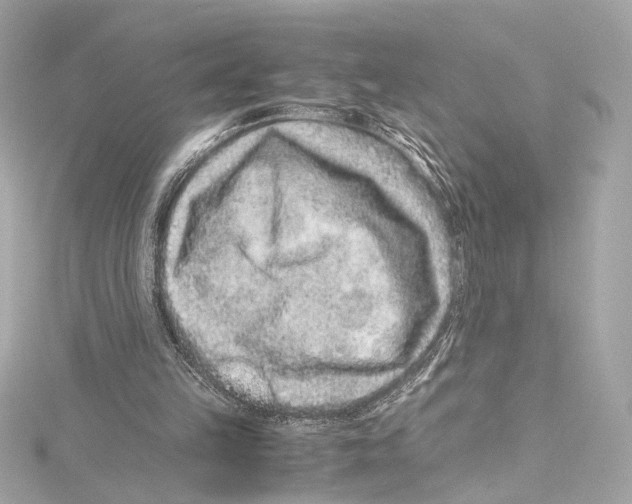 X0000115370149200912011140