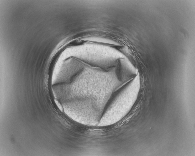 X0000115370150200912011140