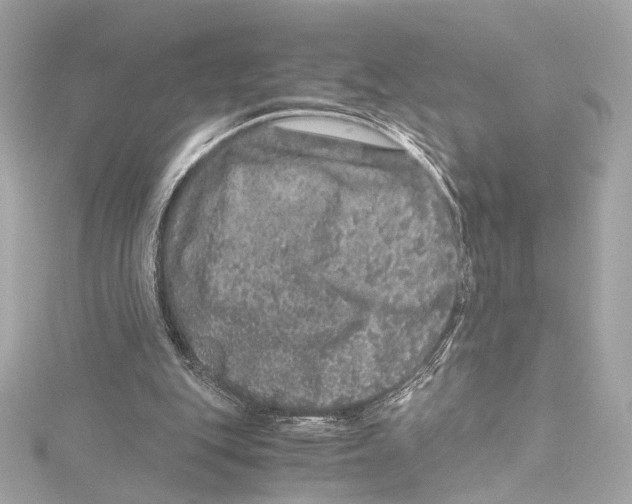 X0000115370151200912011140