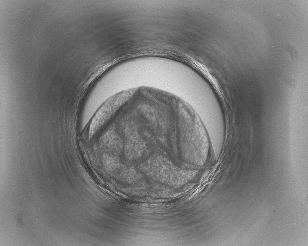 X0000115370154200912011140