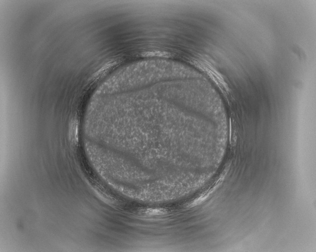 X0000115370157200912011140