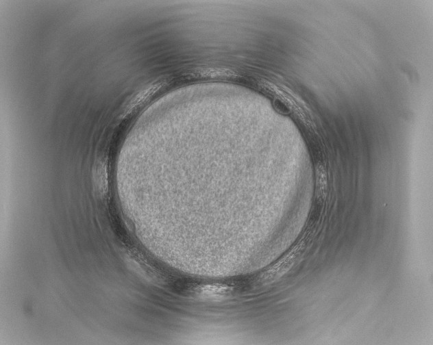 X0000115370158200912011140