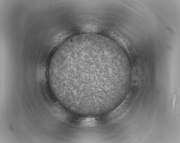 X0000115370162200912011140