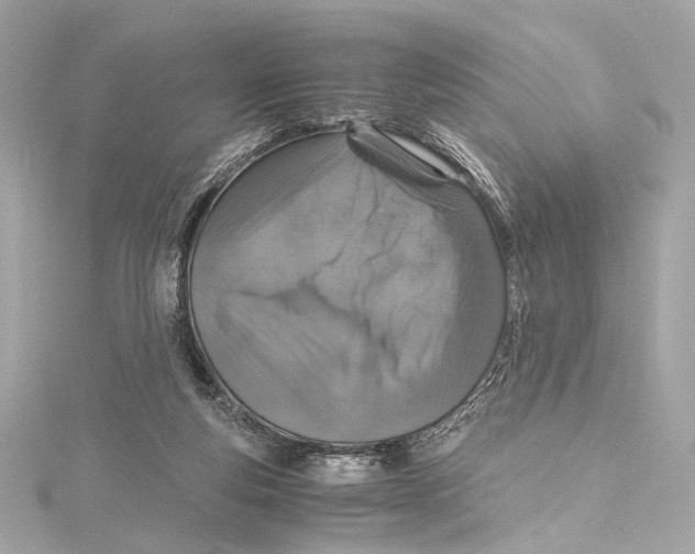 X0000115370163200912011140