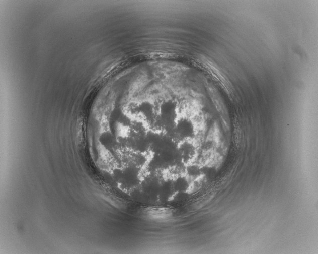 X0000115370169200912011140