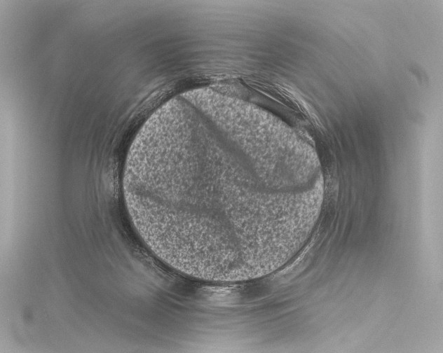 X0000115370170200912011140