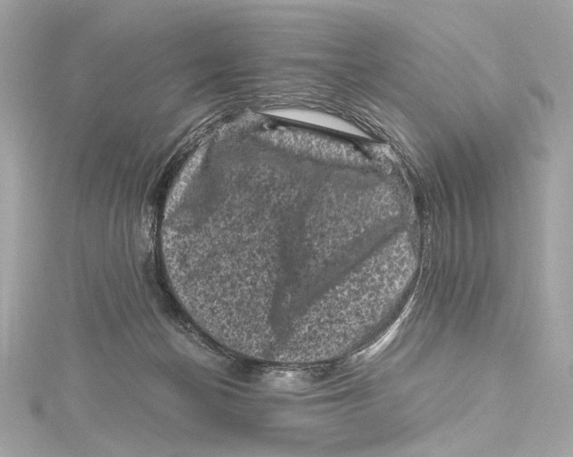 X0000115370174200912011141