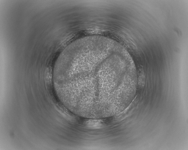 X0000115370179200912011141