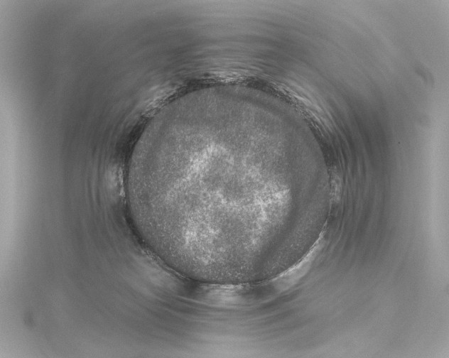 X0000115370182200912011141