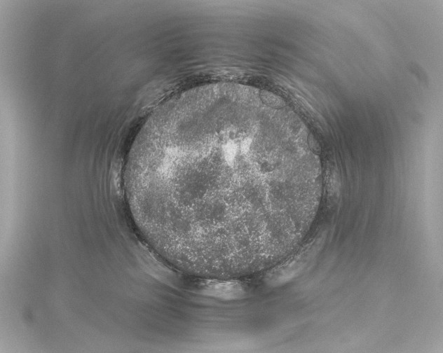 X0000115370185200912011141