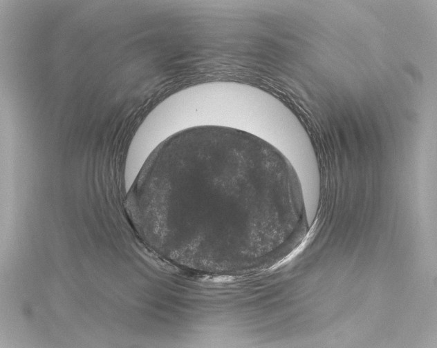 X0000115370186200912011141