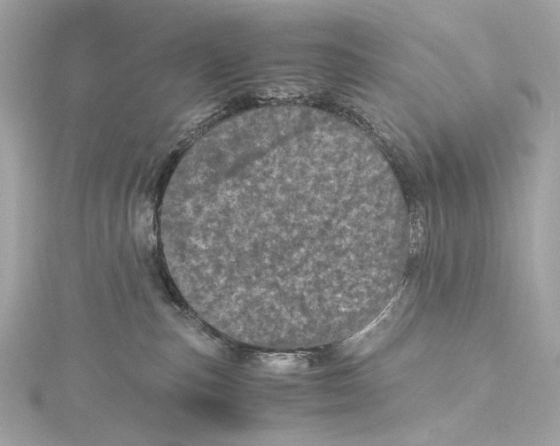 X0000115370187200912011141