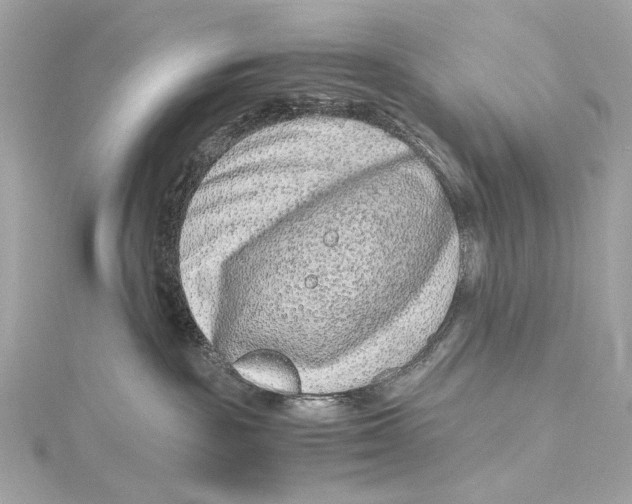 X0000115370189200912011141