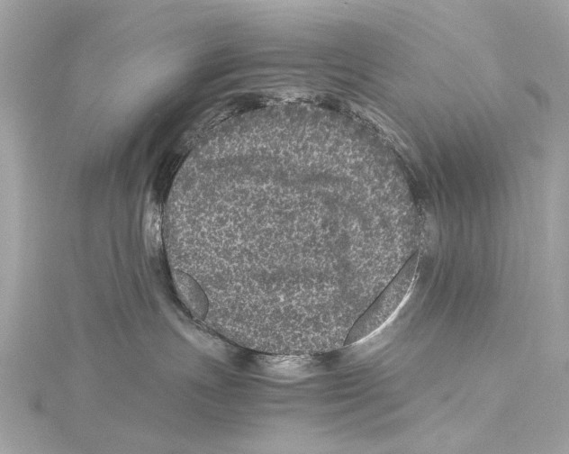 X0000115370191200912011141