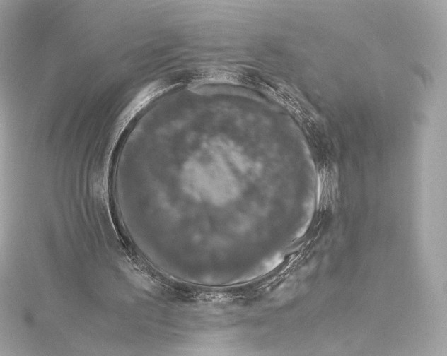 X0000115370195200912011140