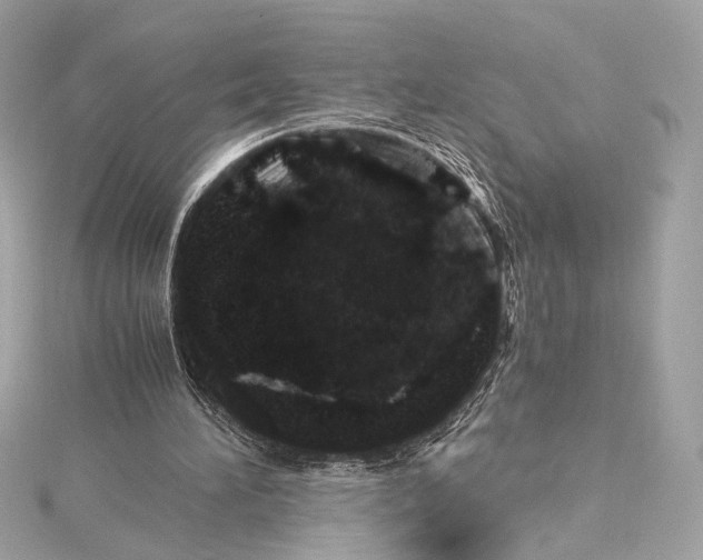 X0000115370196200912011140