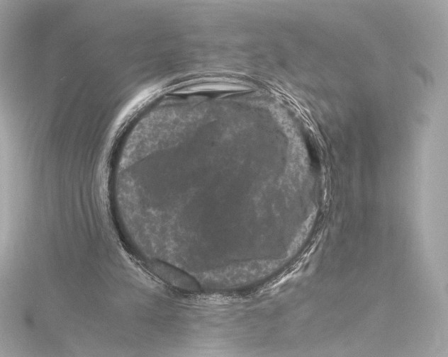 X0000115370197200912011140