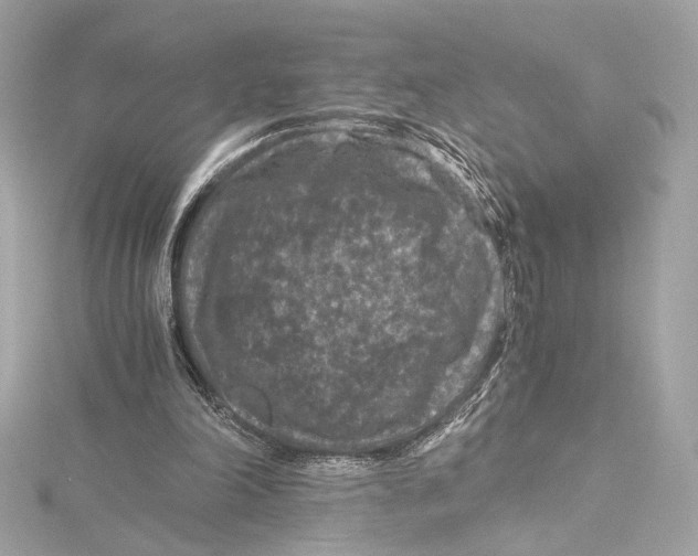 X0000115370198200912011140