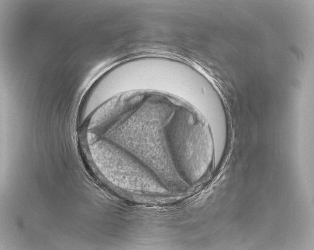 X0000115370199200912011140