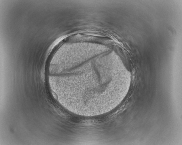 X0000115370200200912011140