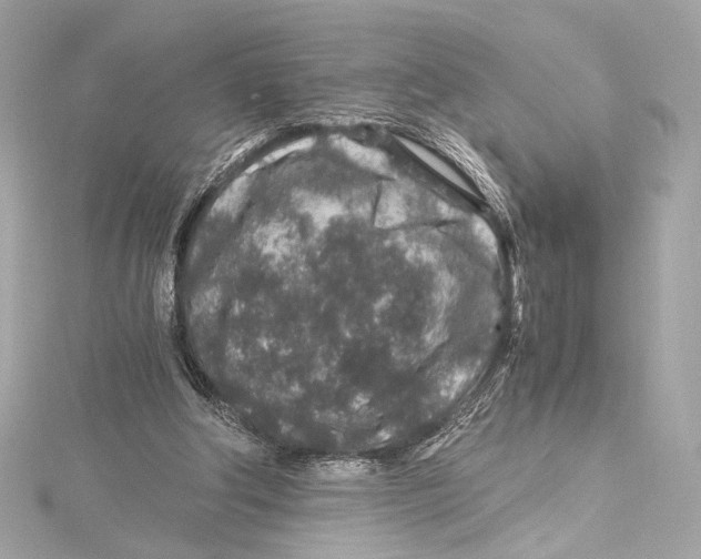 X0000115370202200912011140