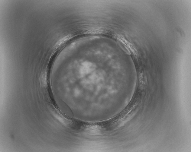 X0000115370203200912011140