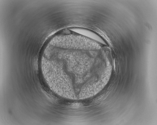 X0000115370204200912011140