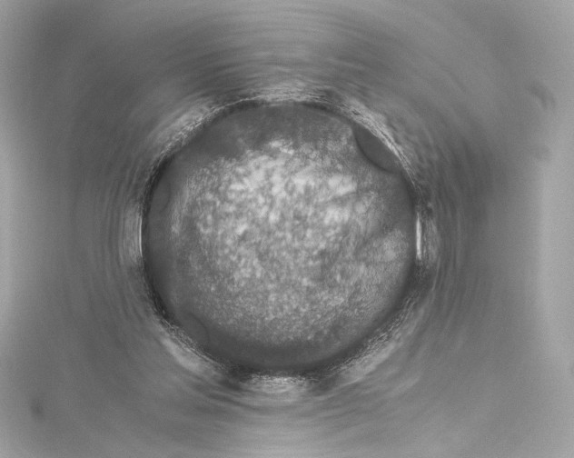 X0000115370205200912011140