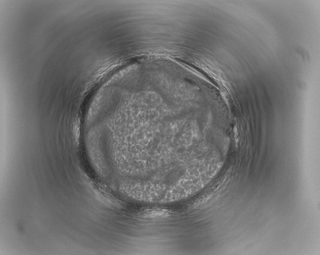 X0000115370206200912011140