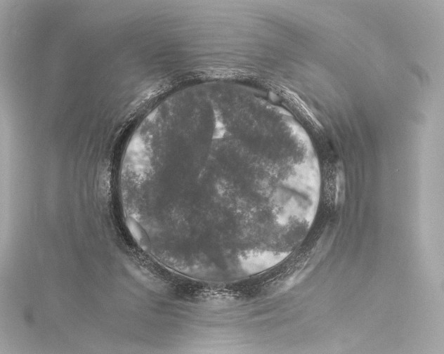 X0000115370207200912011140