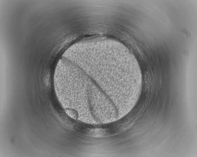 X0000115370212200912011140