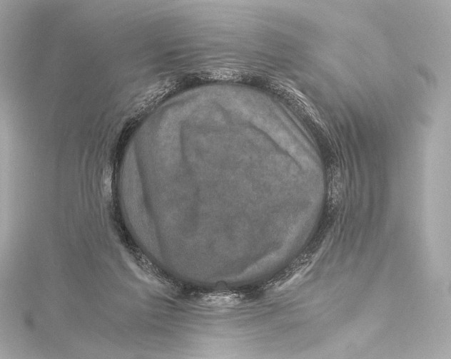 X0000115370213200912011140